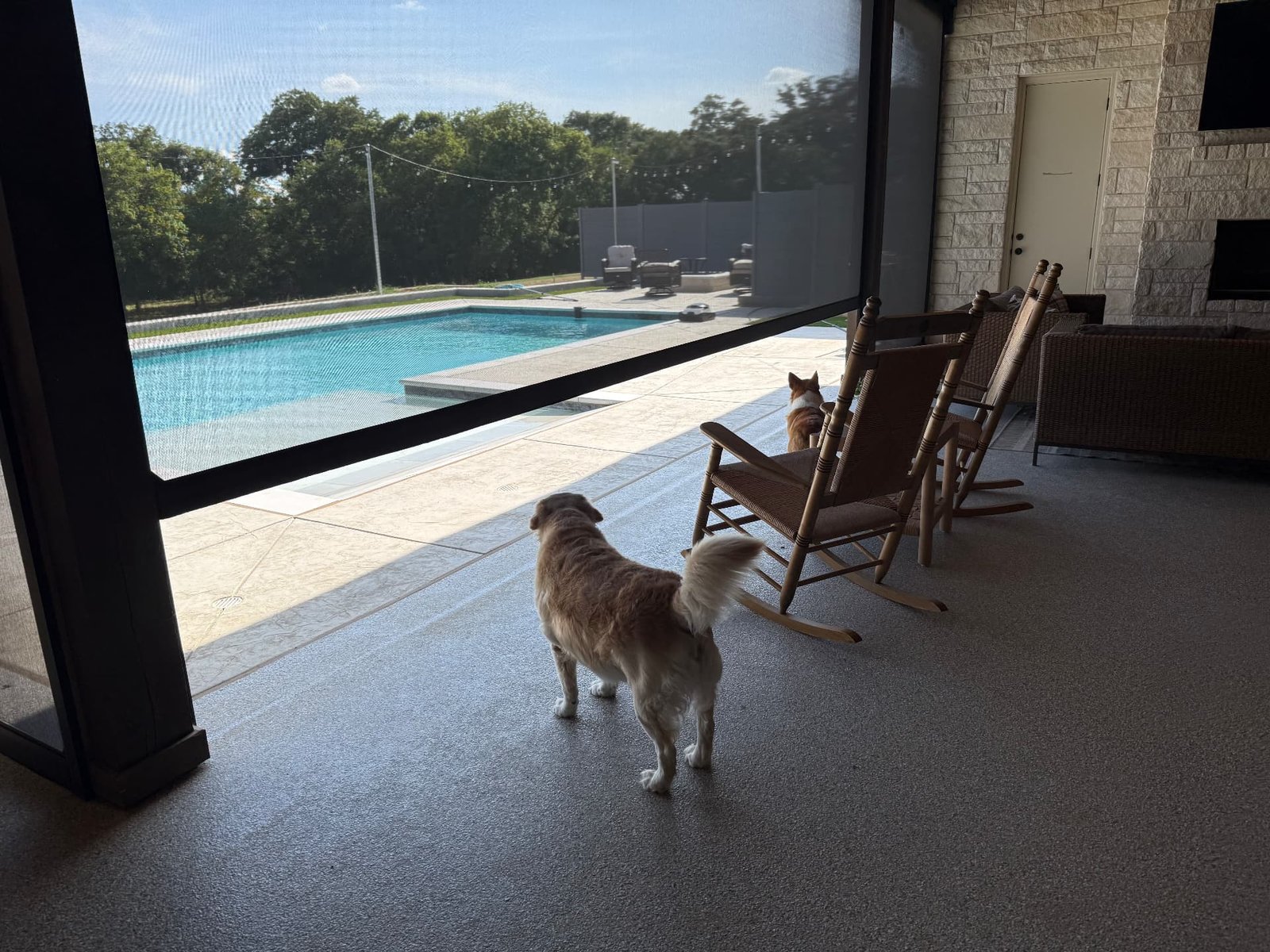 Custom patio screens on a Texas patio, creating a comfortable outdoor living space with shade, privacy and protection from insects.
